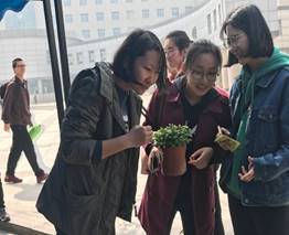 http://zhixing.xaut.edu.cn/__local/8/A3/29/050FF8EE7AB06EC154408A7B5F6_3A45E679_2DD1.jpg
